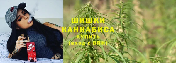 прущие грибы Бронницы