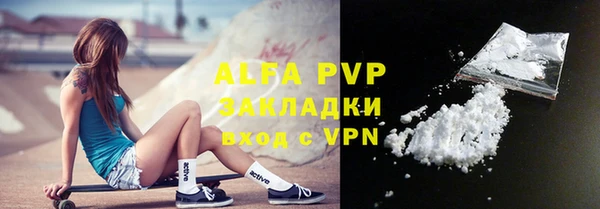 мдпв Бородино