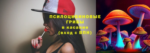 а пвп мука Богородск
