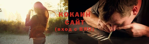 стафф Богородицк