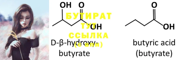 мдпв Бородино