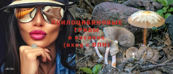 марки nbome Богданович