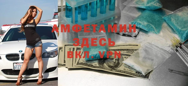 мдпв Бородино