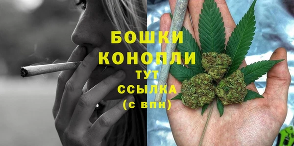 стафф Богородицк